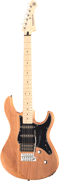 Bild von Anjas neuer Gitarre